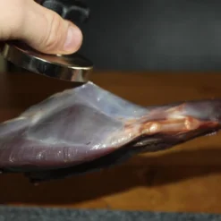 【JACHTMAGNEET / HAGELMAGNEET 】– Jacht Accessoires 2020 – Hagel Verwijderaar – Jagers Cadeau - Wild Magneet -Goedkope Licht Tent Winkel 1200x800 34