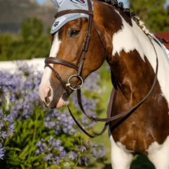 LeMieux Loire Oornetje - Maat Full - Mist 13 LeMieux Loire Oornetje - Maat Full - Mist -Goedkope Licht Tent Winkel 799x1200