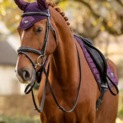 Goedkope Licht Tent Winkel -Goedkope Licht Tent Winkel 900x1200 1